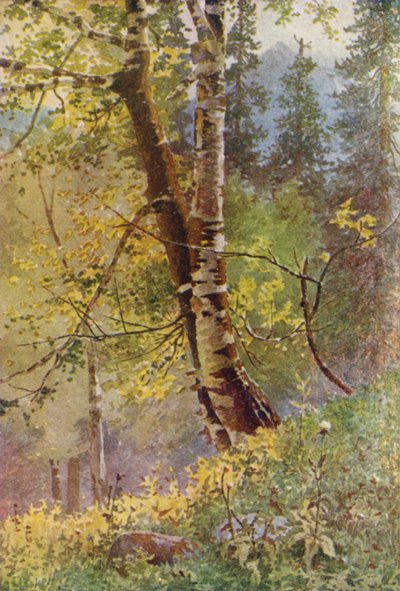 Nella foresta da Edward Mary Joseph Molyneux